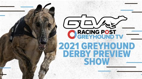 greyhound bet,racing post greyhounds news